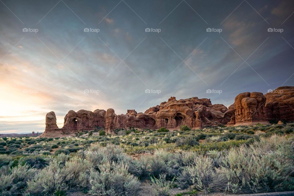 Arizona Natural Landscape