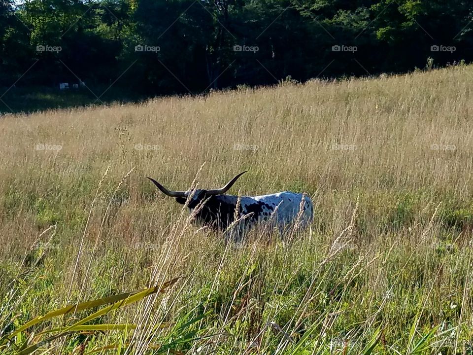 Driving the Back Roads and enjoying everything around us