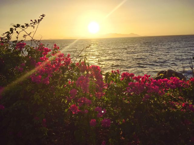 Sunrise peaking through on Magnetic Island 