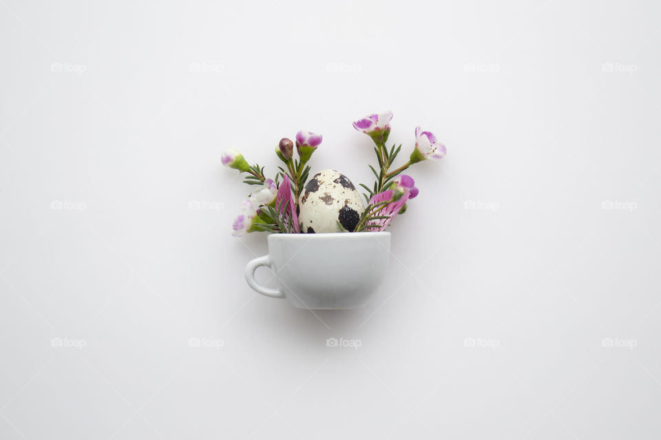 Flowers and little egg in a tiny cup on a white background 