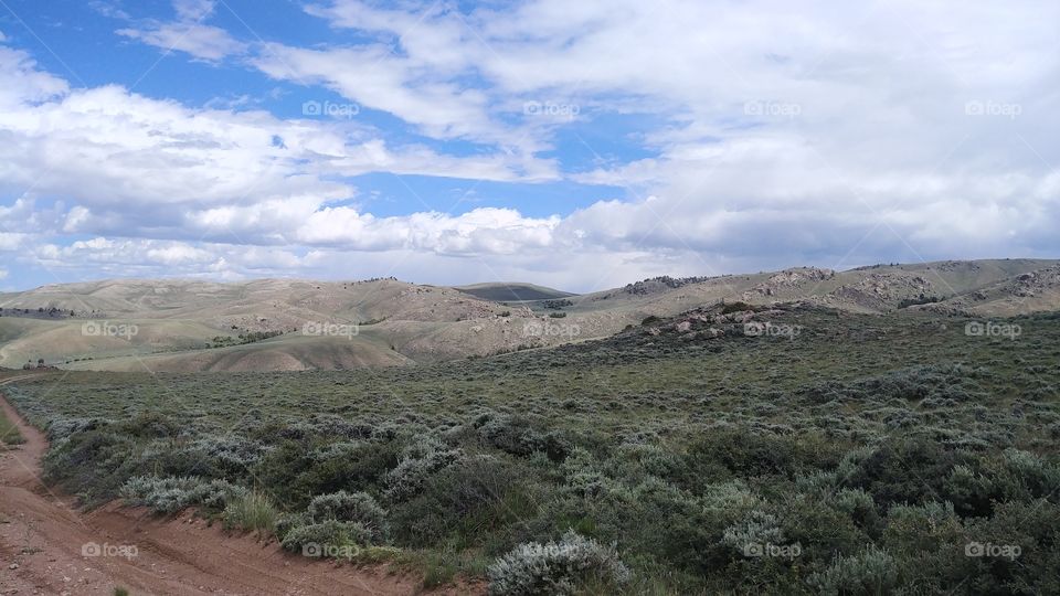 High Desert Landscape