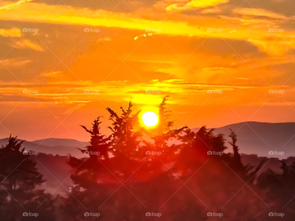 A golden sunset over towering cedar trees with the majestic Blue Ridge Mountains as a backdrop. 