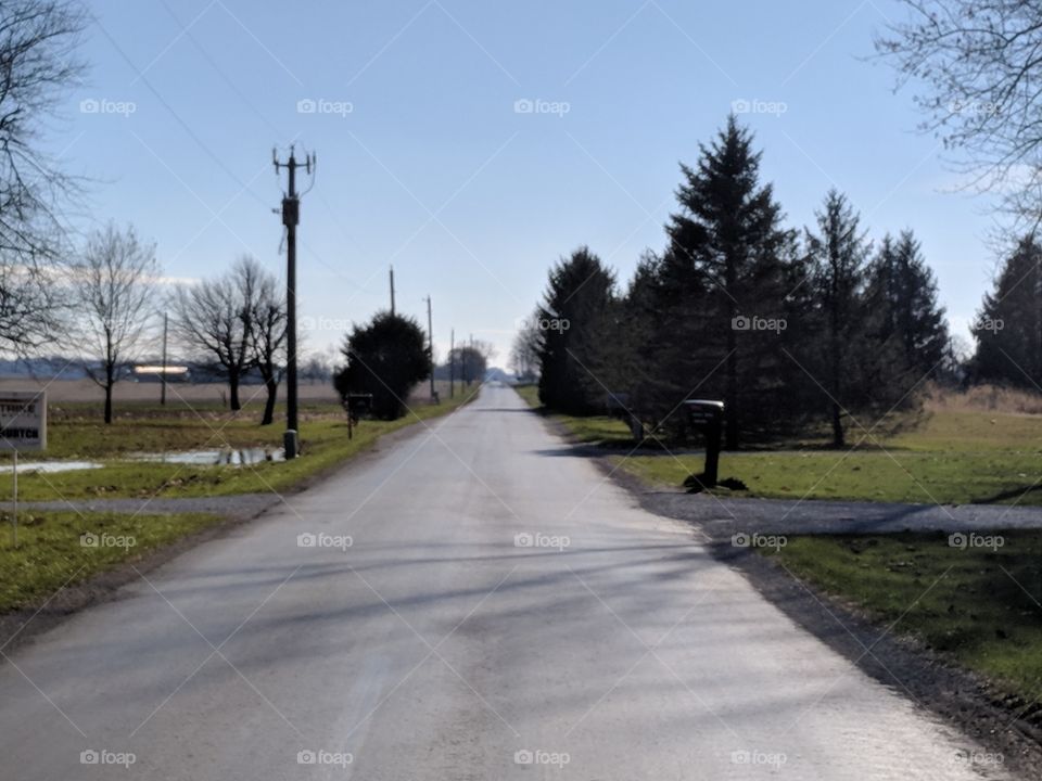 Road, Landscape, Tree, Guidance, No Person