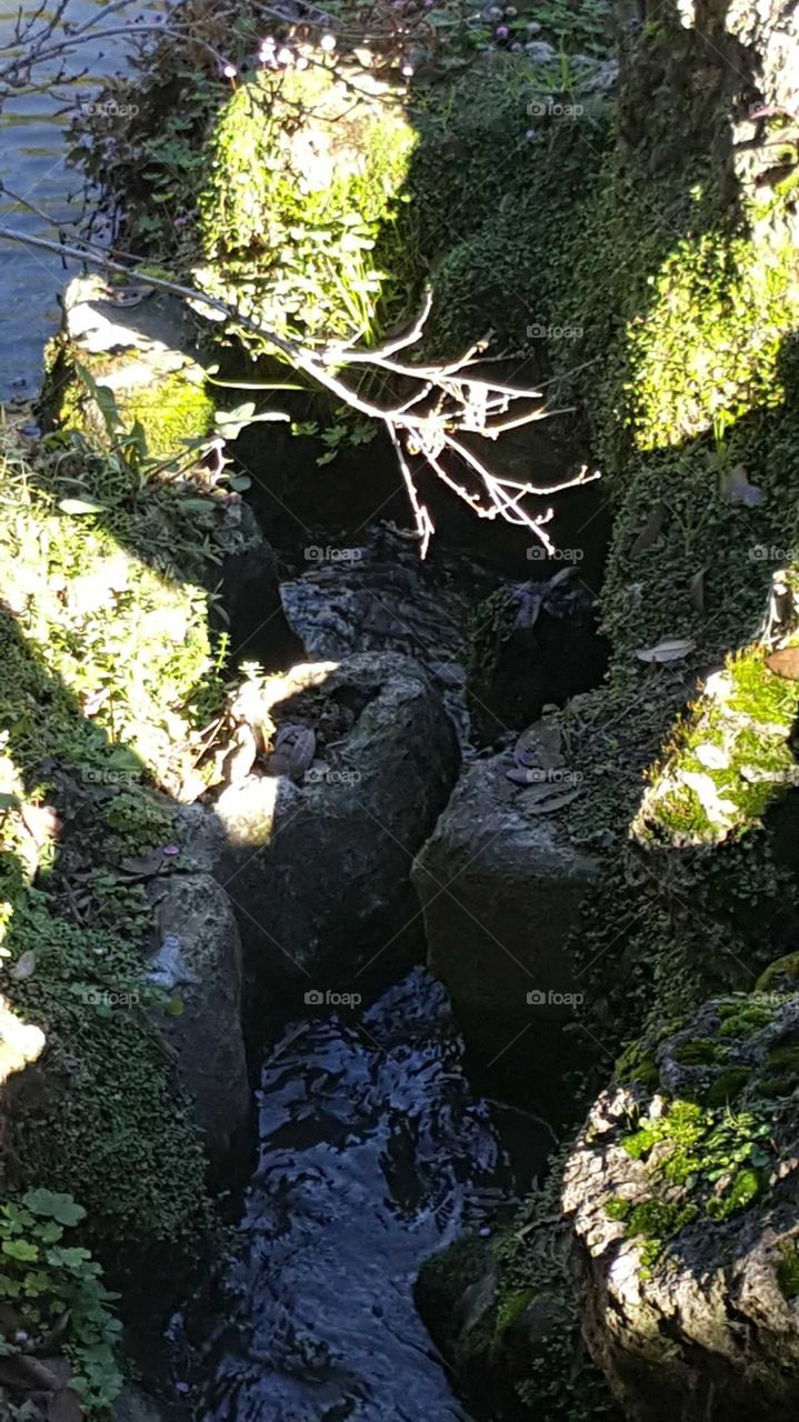 Water, Nature, Stone, Leaf, No Person