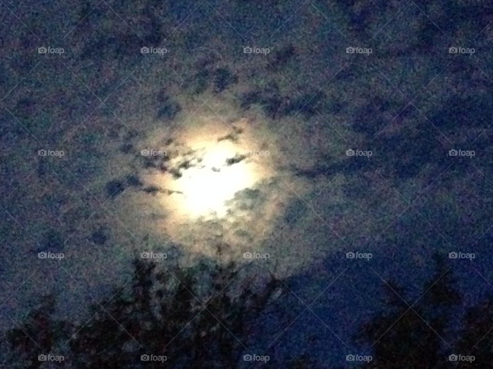 Night Moon