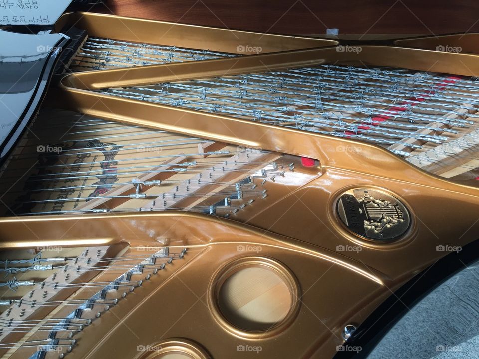 'Piano of Unification' located at Dorasan Station, South Korea: the last stop before North Korea. 

This piano will play when Korea becomes unified. The strings have been replaced with barbed wire. 