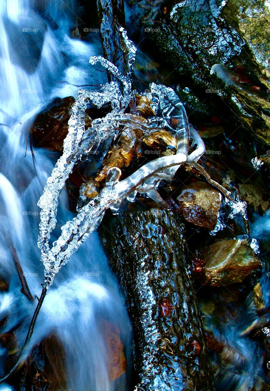 Лёд, покрывающий ветку, имеет сложную, ажурную структуру, сверкает и переливается на свету.