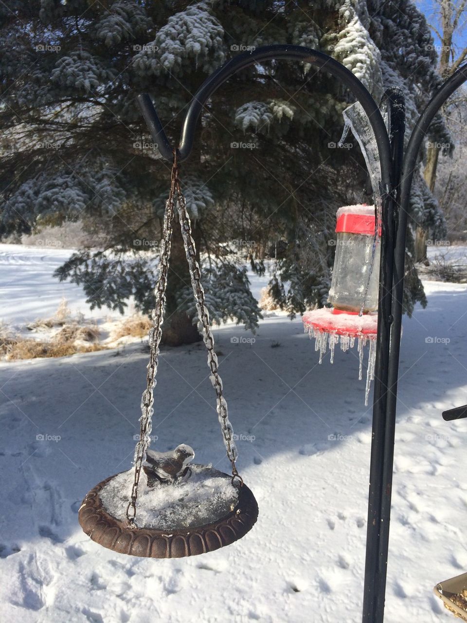 Winter Wonderland - Michigan