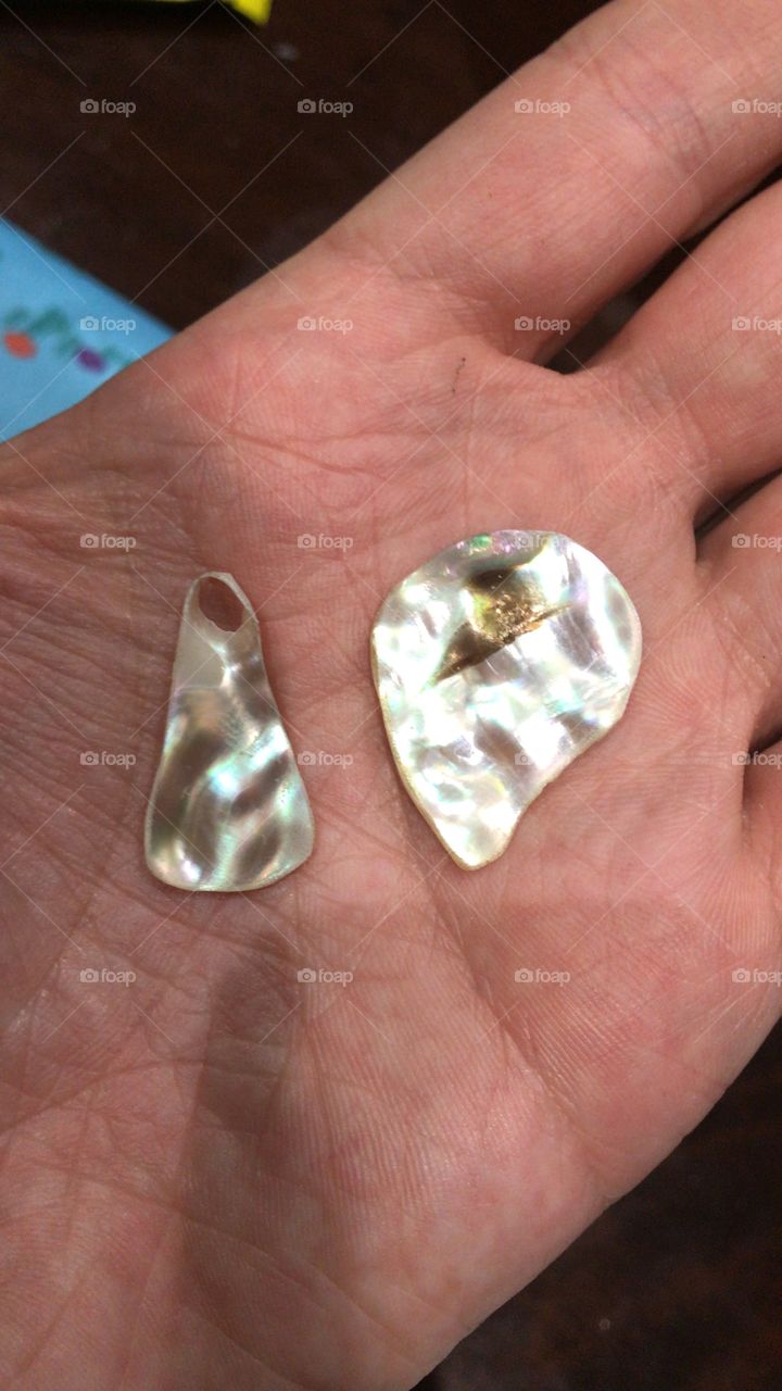 Shiny beach shells formed