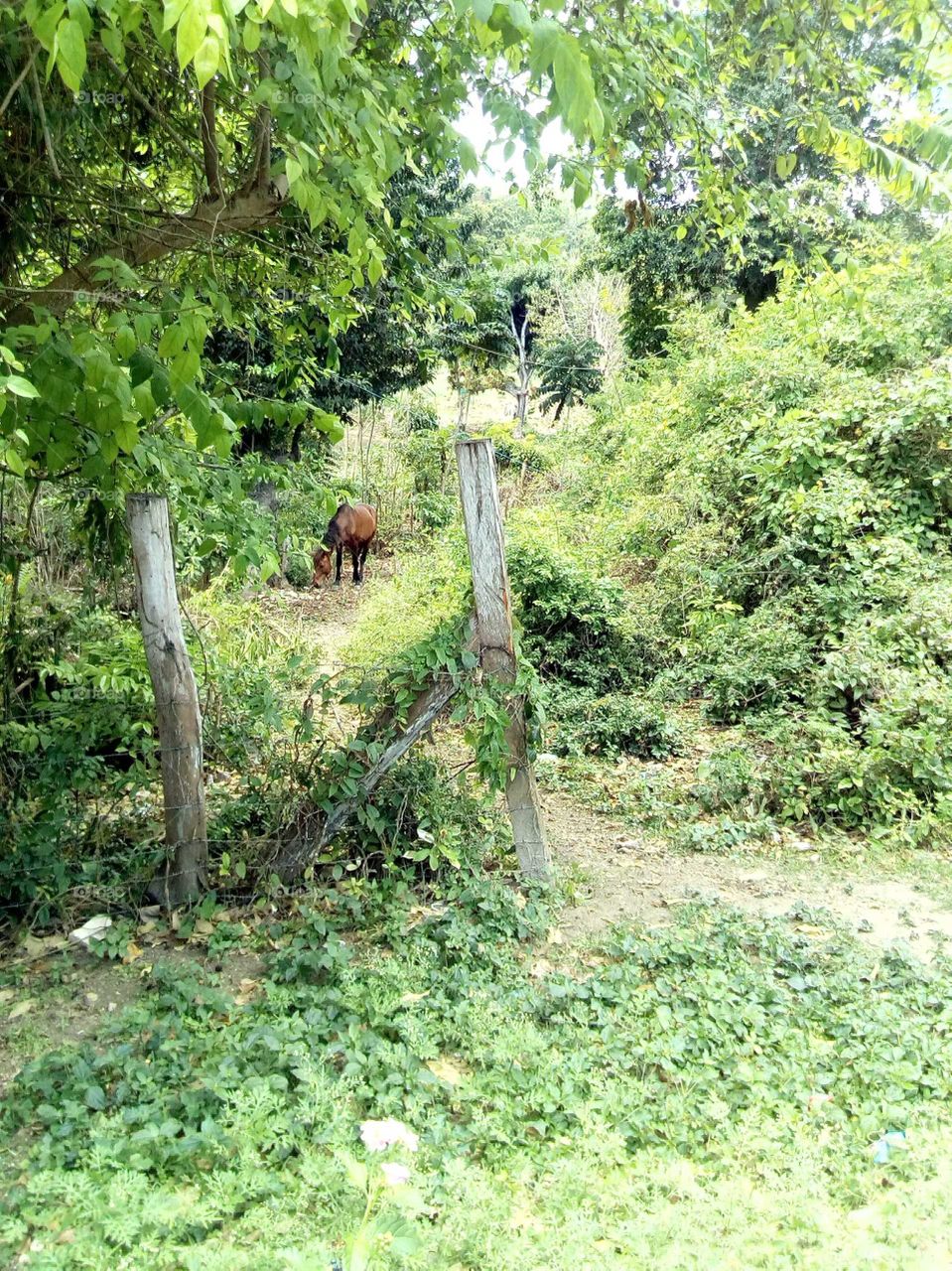 this is a great picture of nature at is best taking care of the planets an animal's.