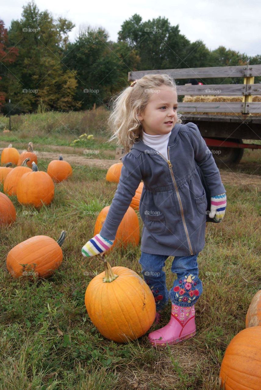 Hayride to the Pumpkin Patch