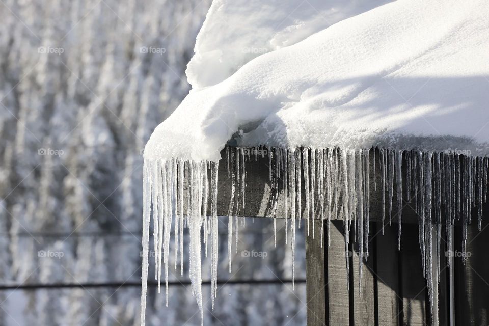 Icicles hanging down the rooftop 