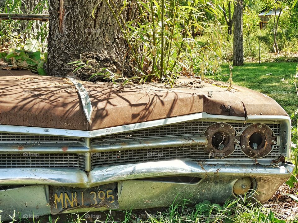 Rust Old Car. Derelict Old Car Overgrown By Nature
