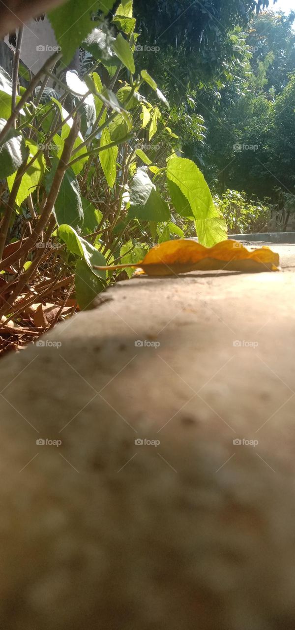 beautiful pictures 😍🖼️