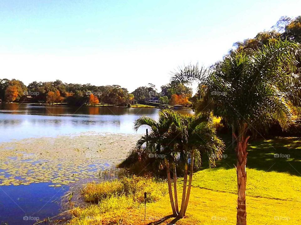 gorgeous lake scenery