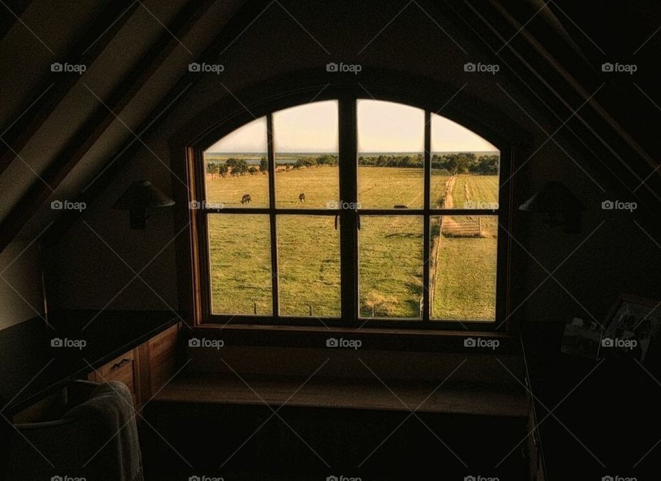 A Window On Martha's Vineyard