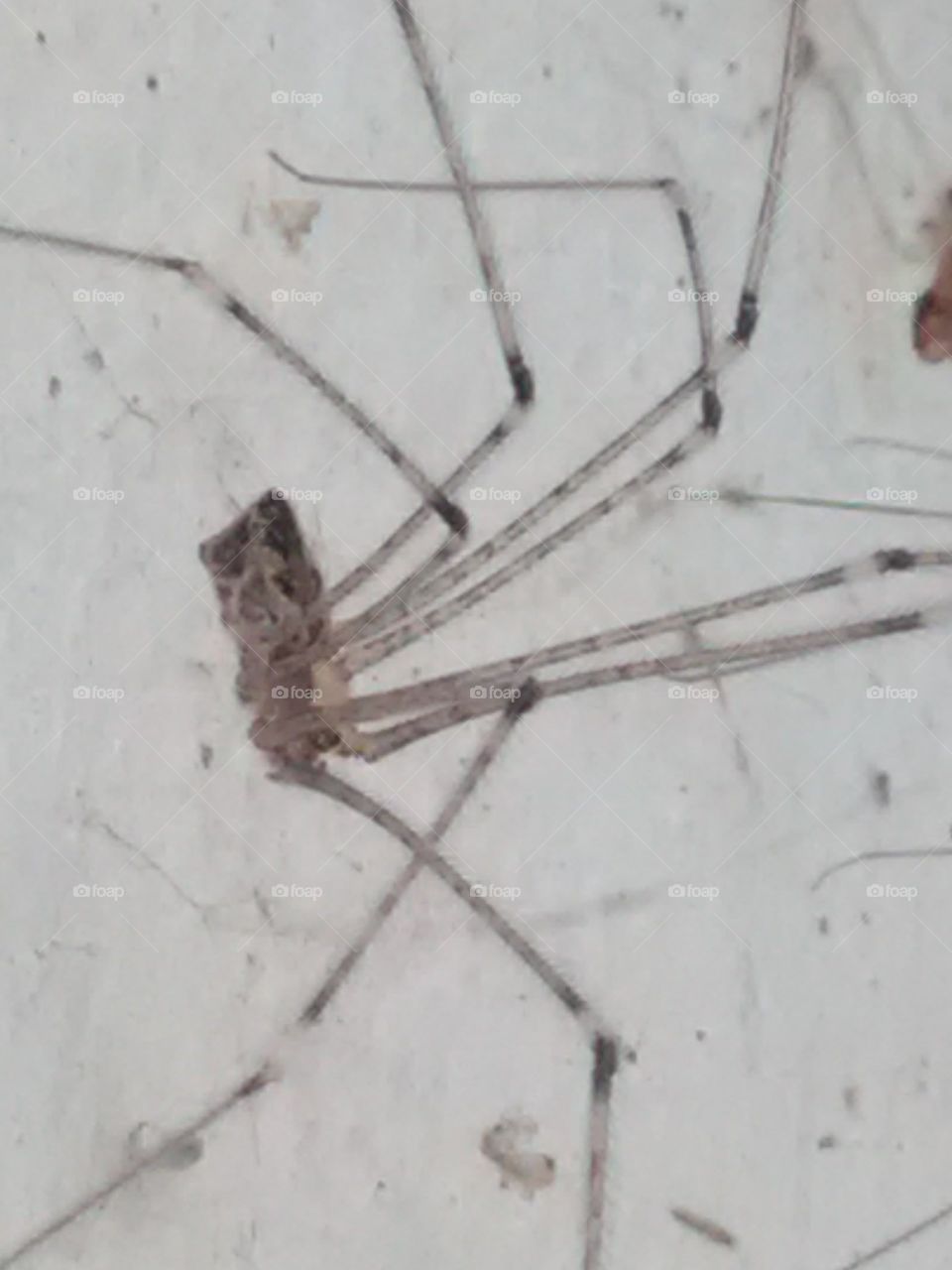 Gawl on the wall to snack food for yourself.