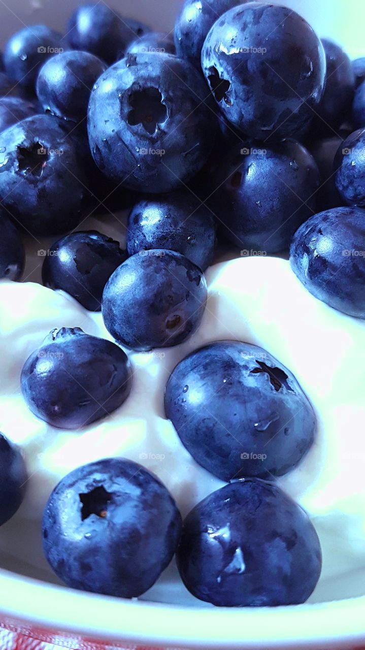 Blueberry, Juicy and Fresh