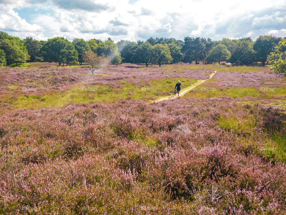 Girl cycling in the heather fields