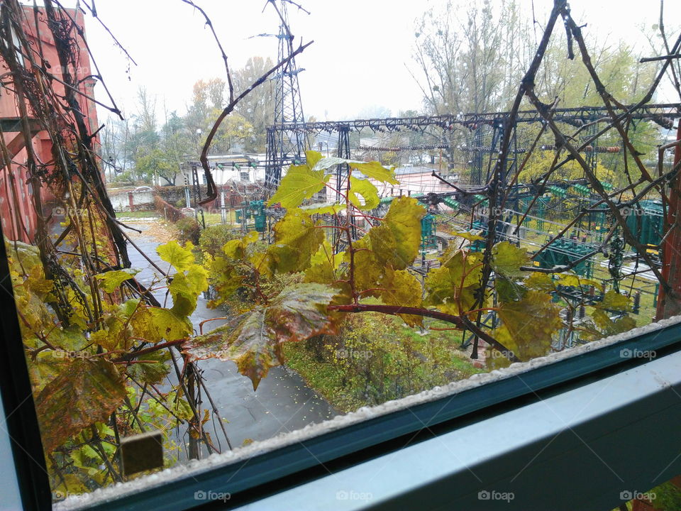 view from the window, rain