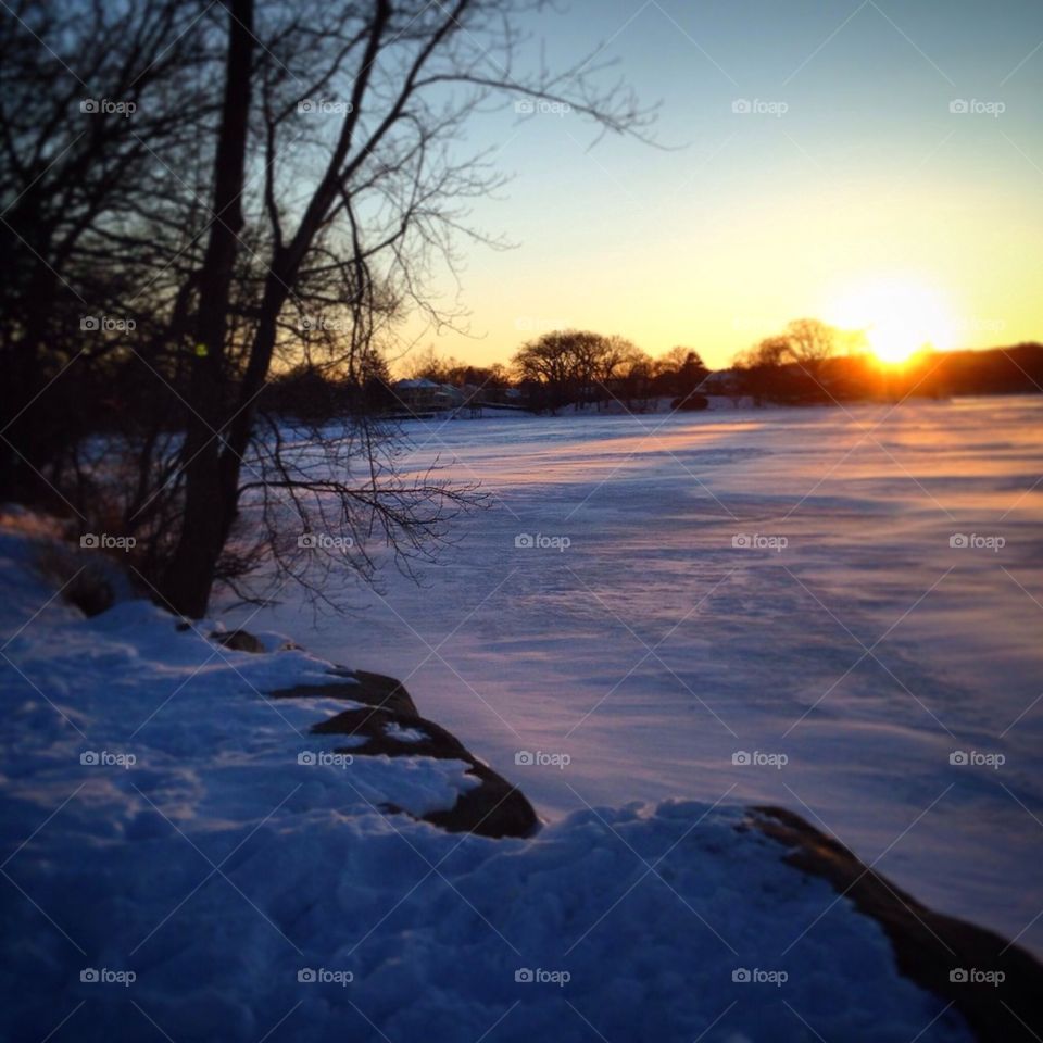 Winter on the pond