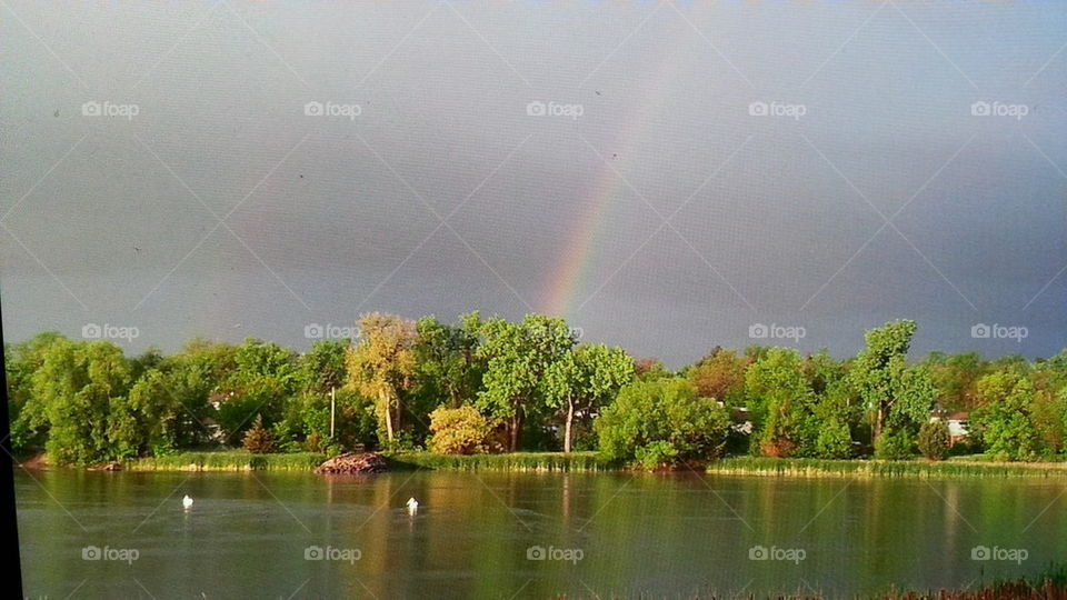 lake rainbow
