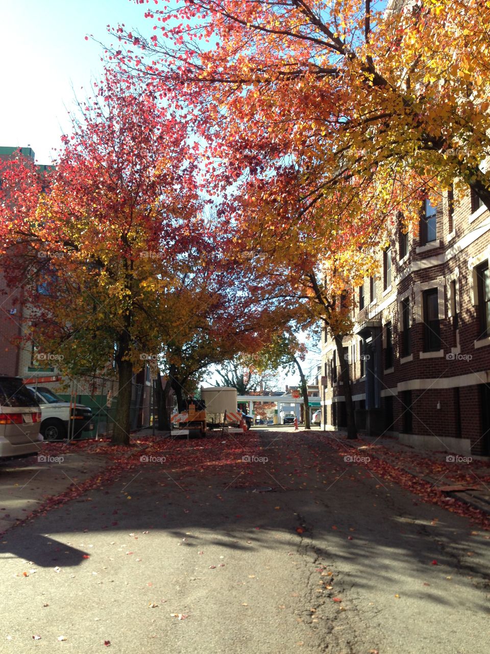 Plenty of orange texture