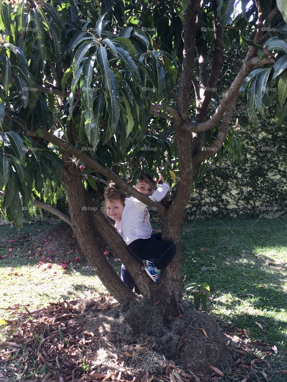 🇺🇸 Children are always pure and honest in their feelings.  Playing hide and seek is very good! / 🇧🇷 Crianças são sempre puras e honestas no sentimento delas. Brincar de esconde-esconde é muito bom!