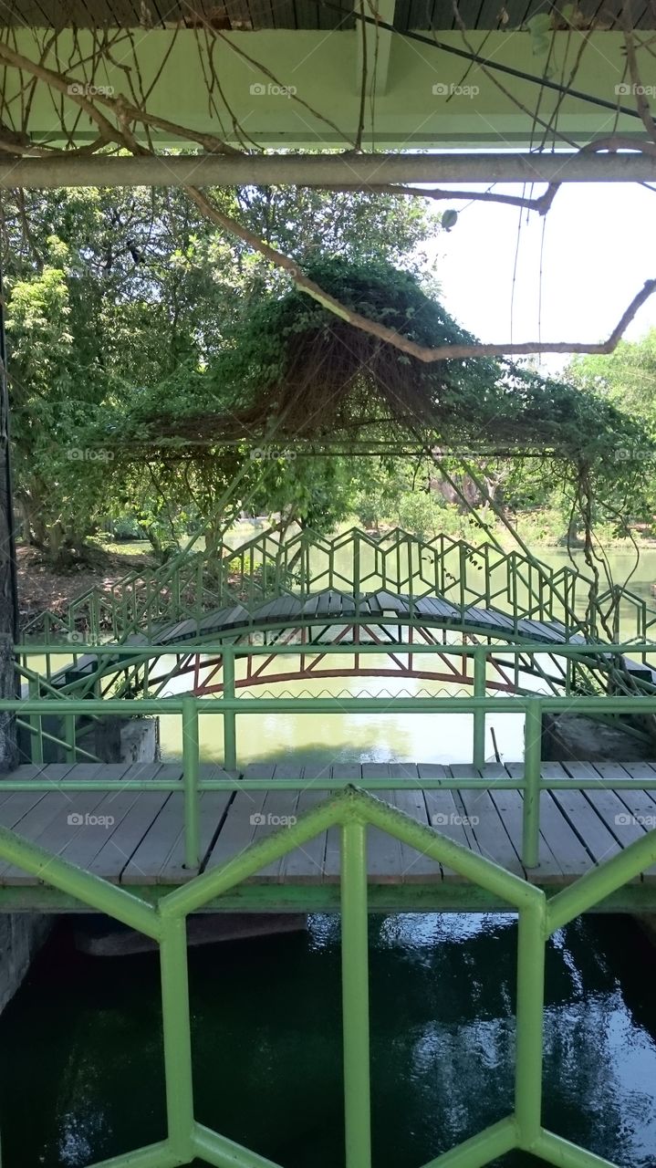 garden connecting bridge
