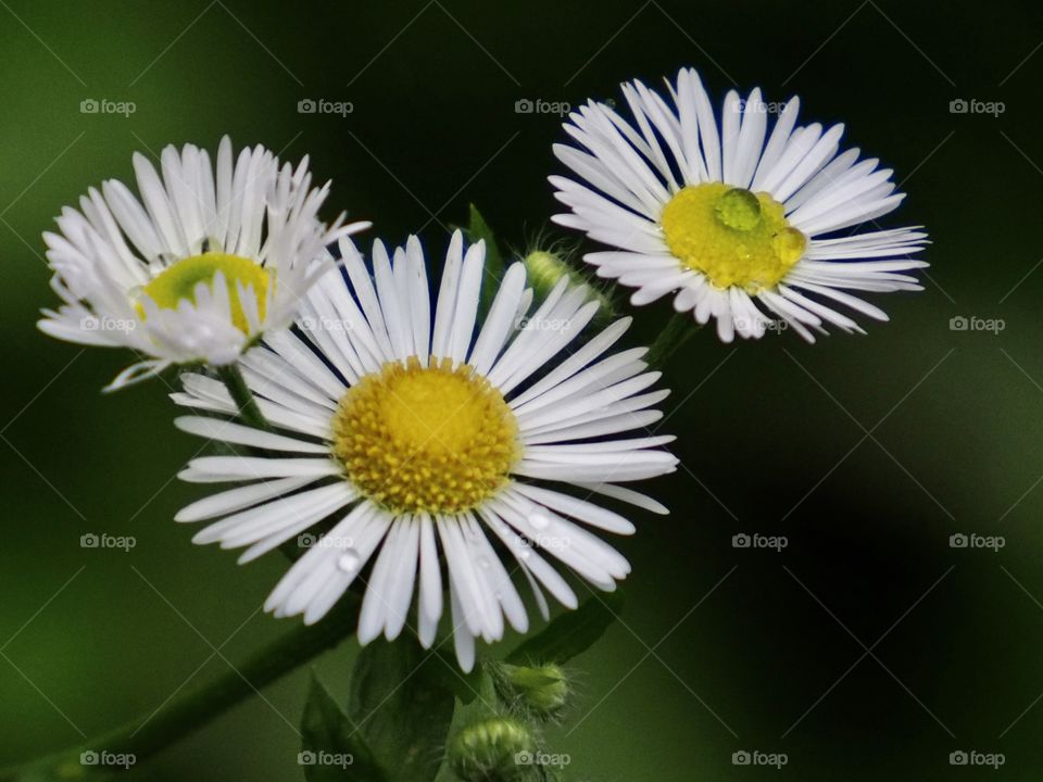 the beautiful side of the rain