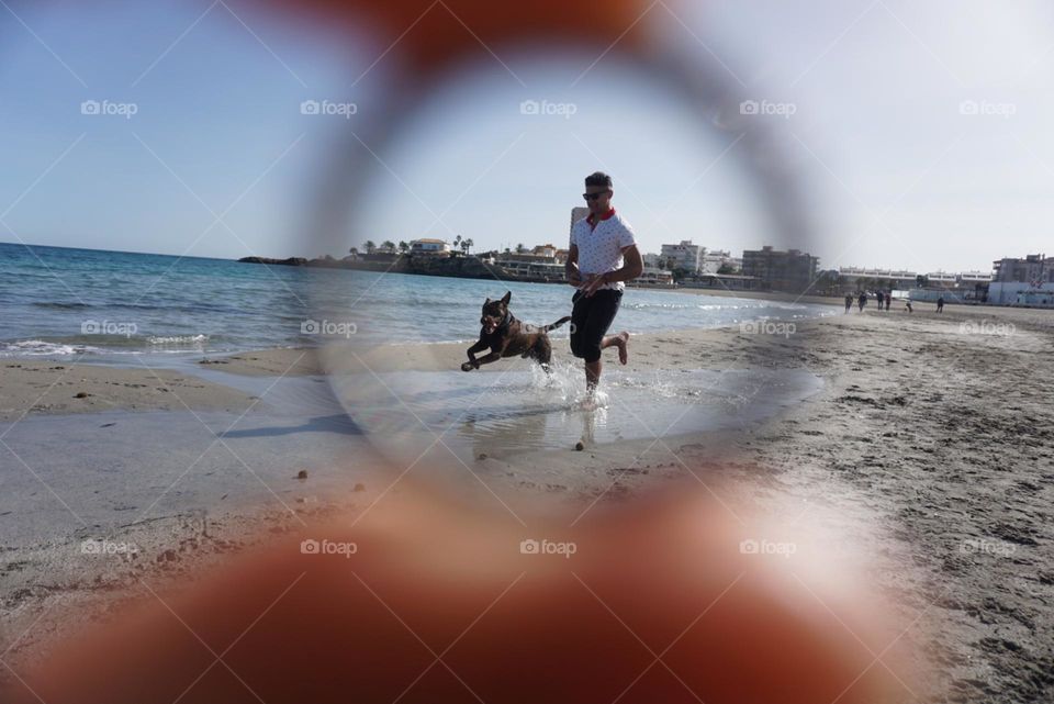 Beach#ring#human#dog#sea#play#run