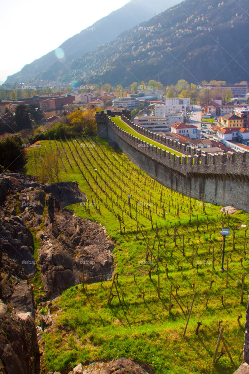 travel building architecture wine by cmosphotos