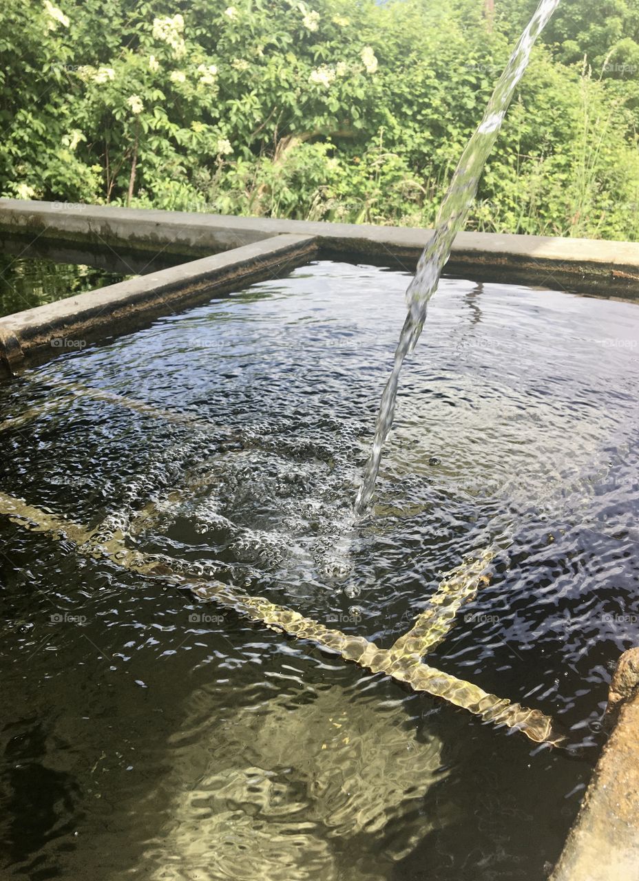 Old village washing-house