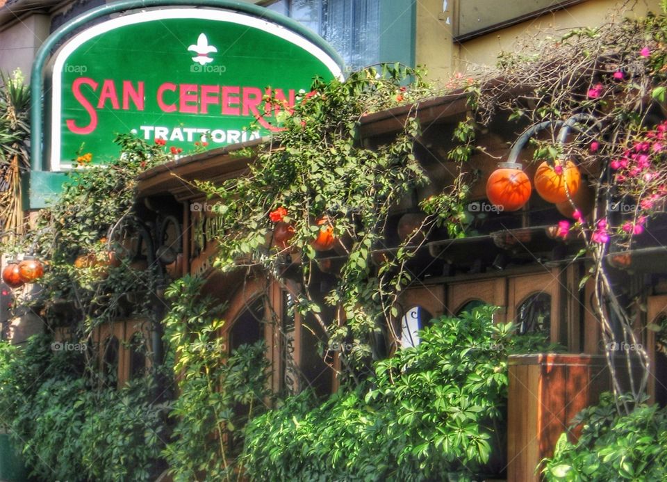 San Ceferino Trattoria 