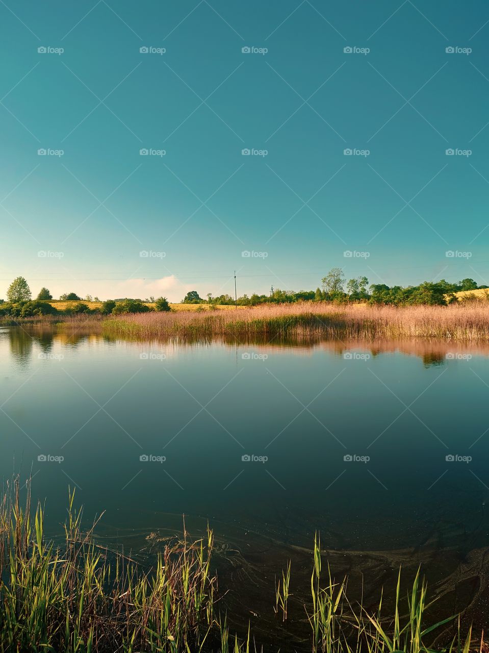 Lake in Poland