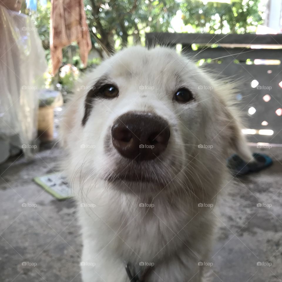 What? I didnt know this, man!