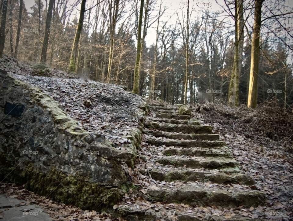 Abandoned stairs 