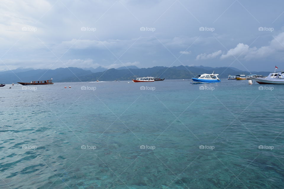 natural landscape at the beach