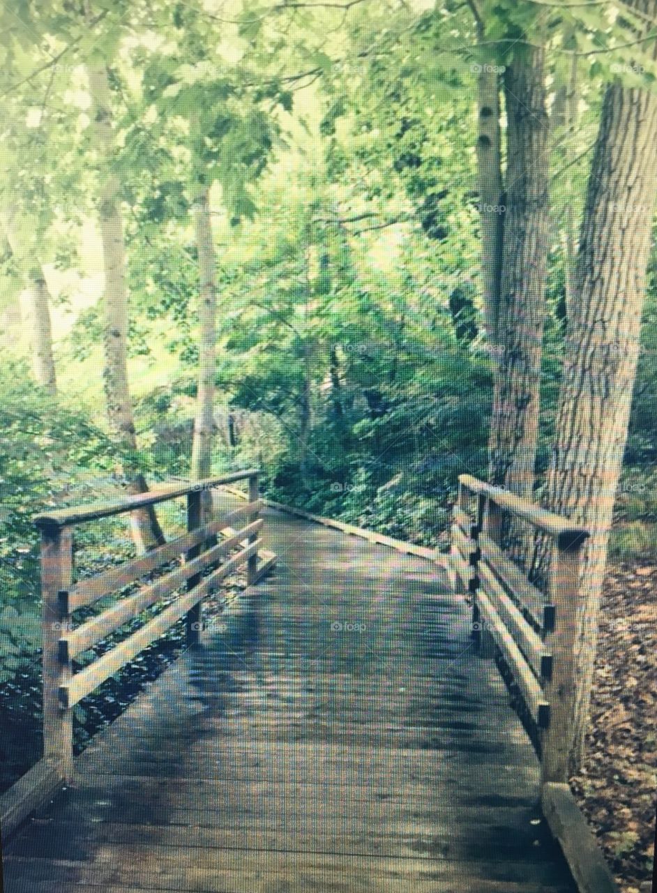 Avalon state park walkway. Stonybrook New York 