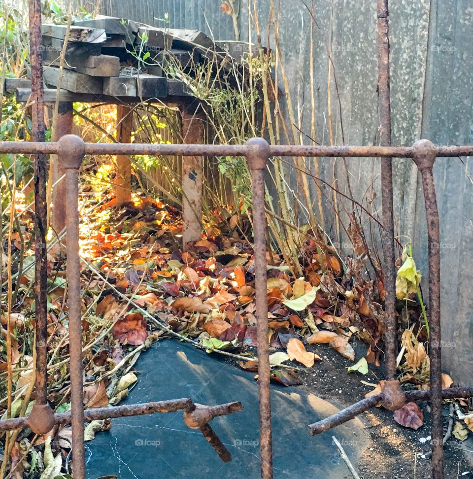 Cast iron bed frame used as fence, wood pile behind shed