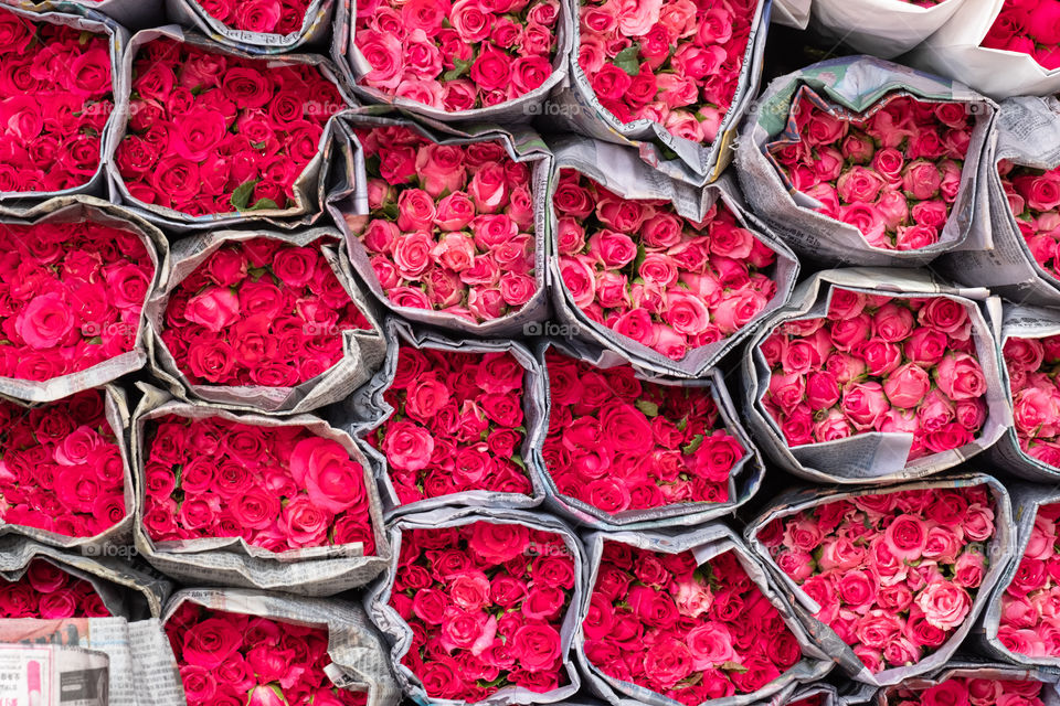 Beautiful roses at The famous Pak Khlong Talat (Flower Market) in Bangkok Thailand