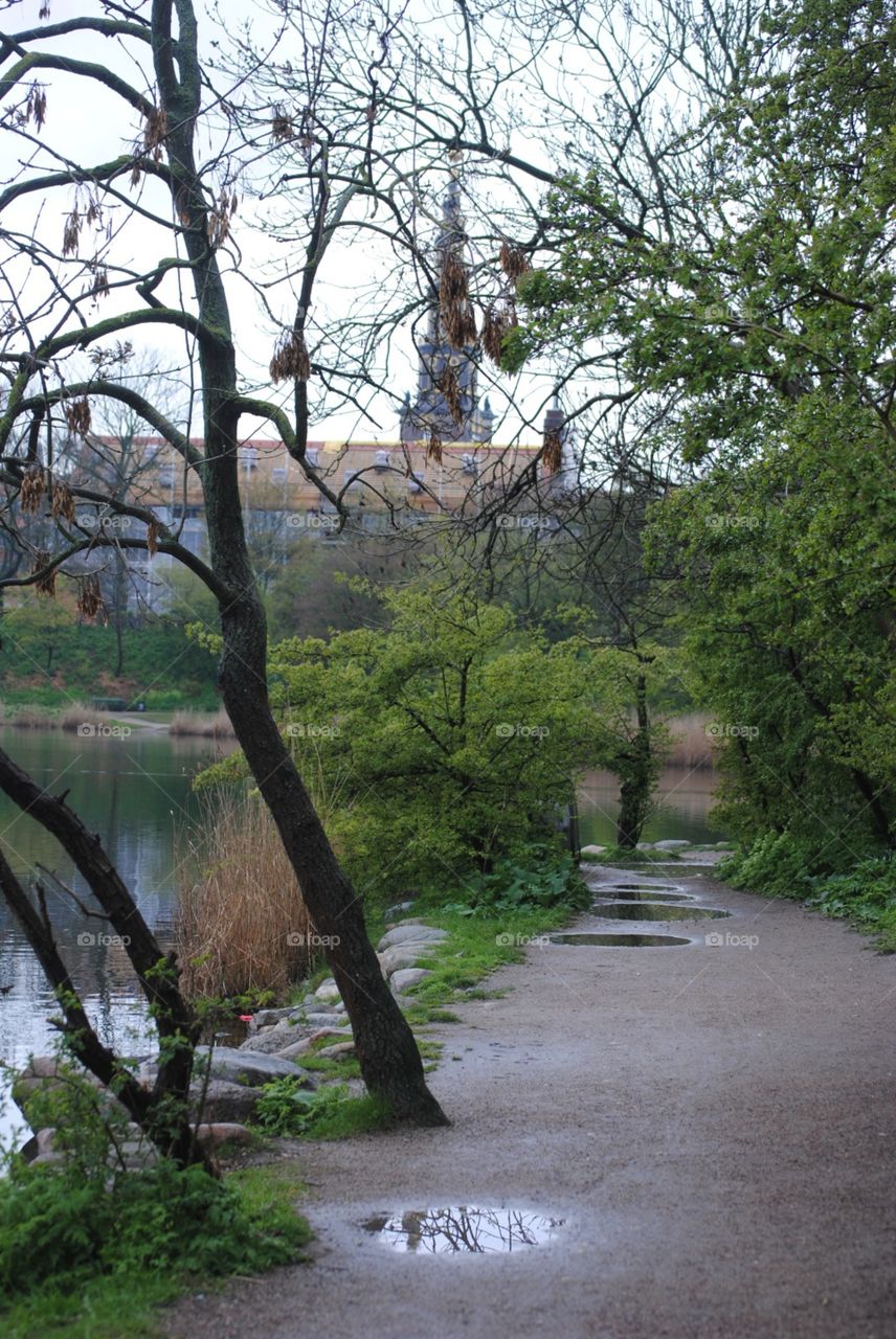 Nature after The rain