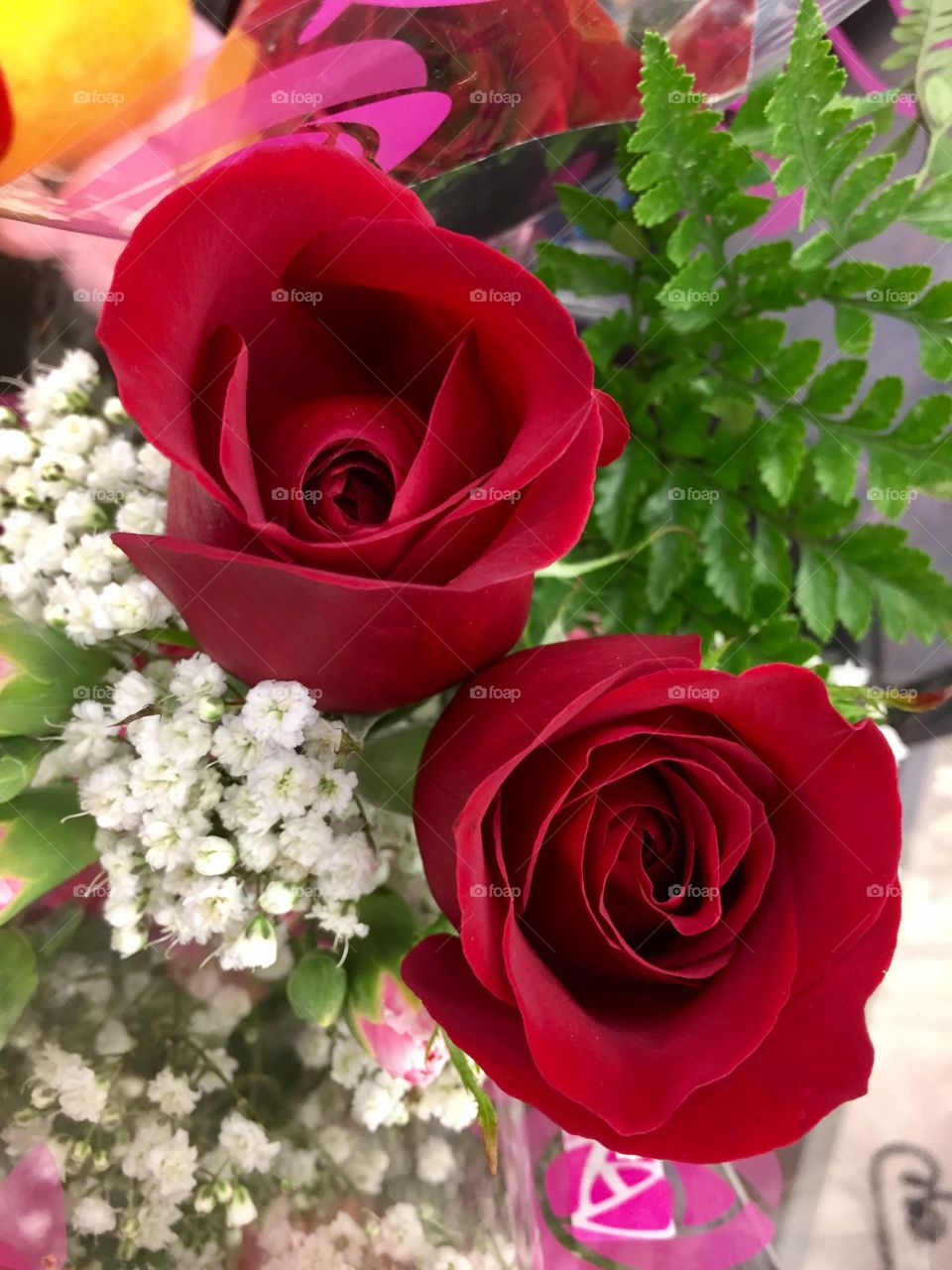 Roses in store 