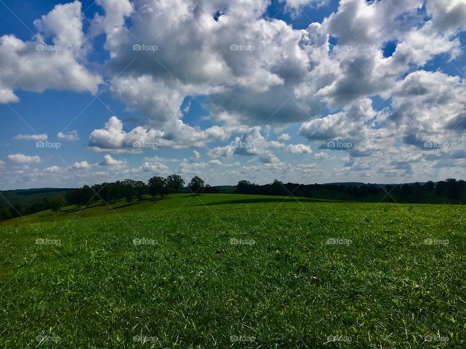 Lush Pastures in the Ozark Mountains ready for the cattle to be turned in for grazing. 