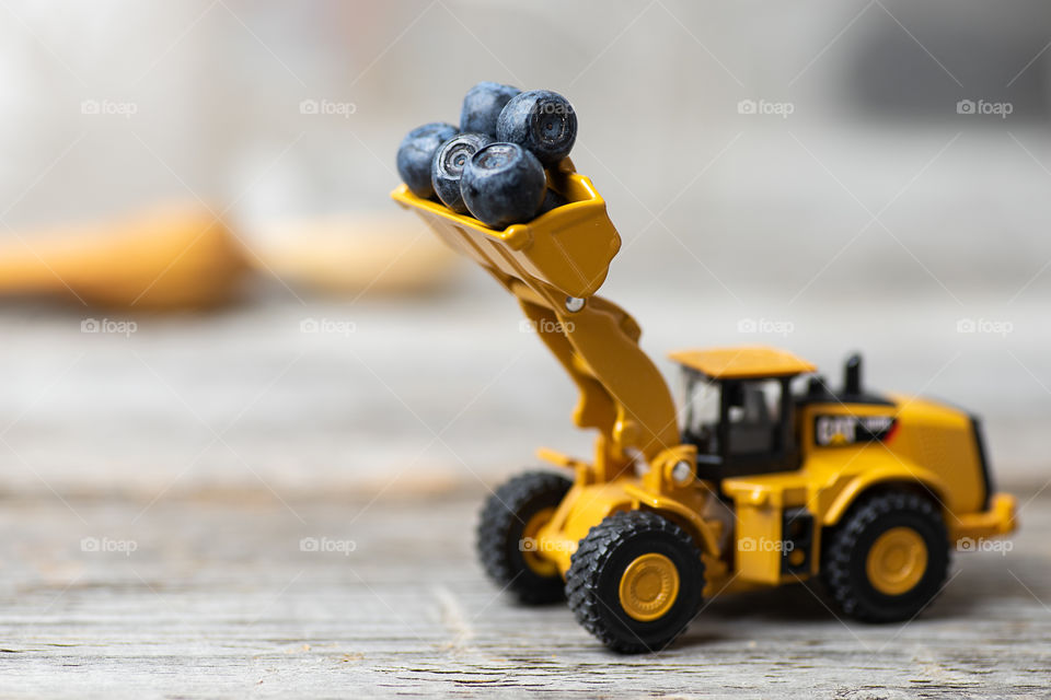 Wheel loader with blueberries in dipper