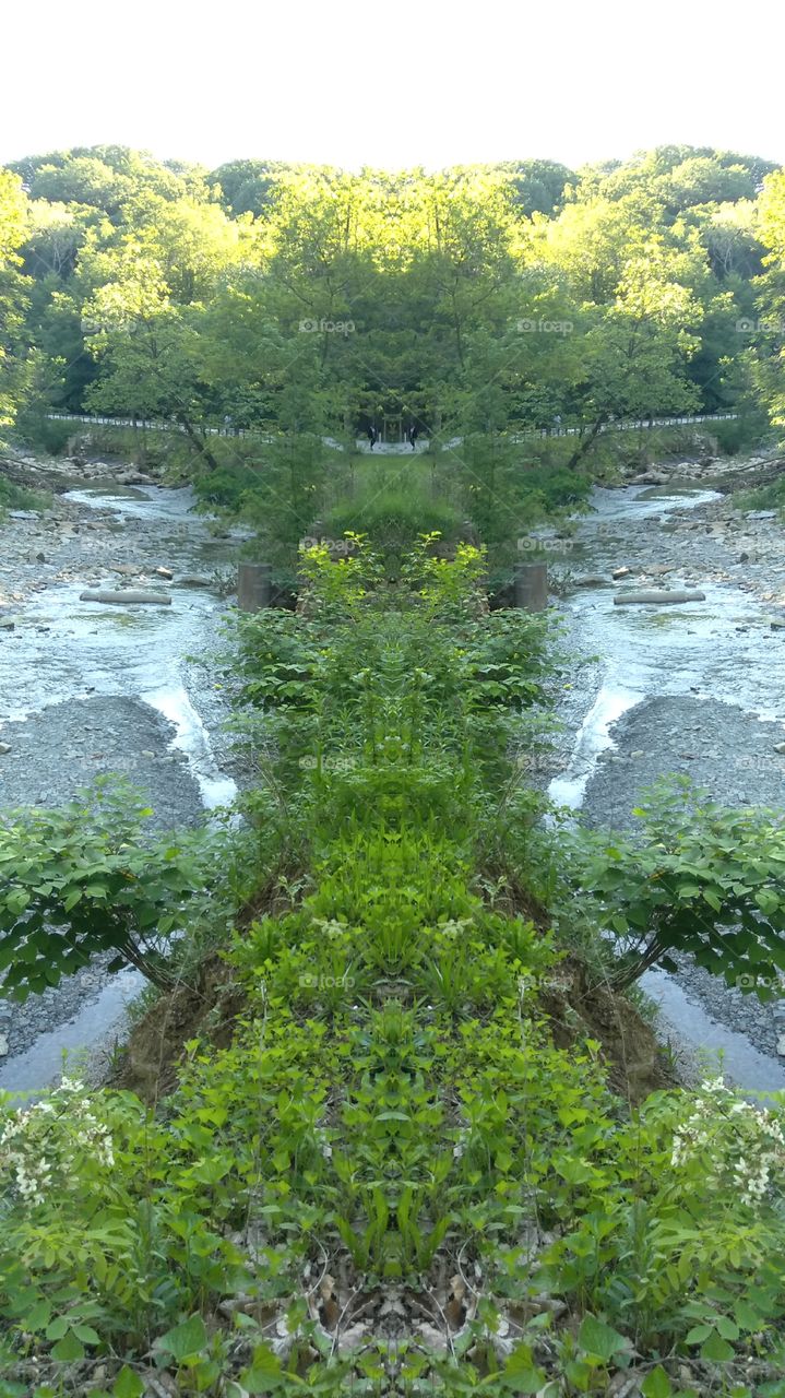 Water, Nature, River, Landscape, Stream