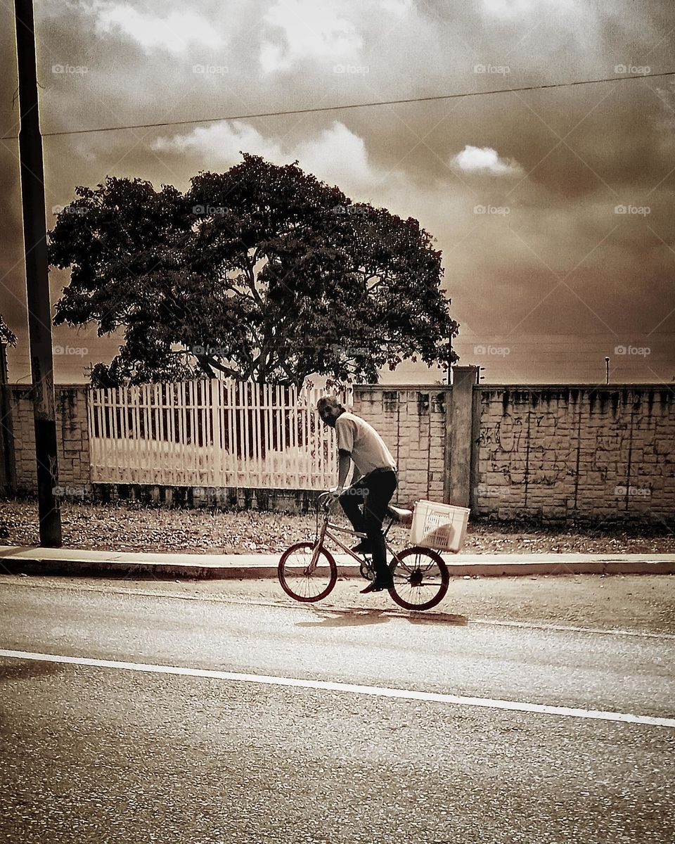 ciclistas en la tarde