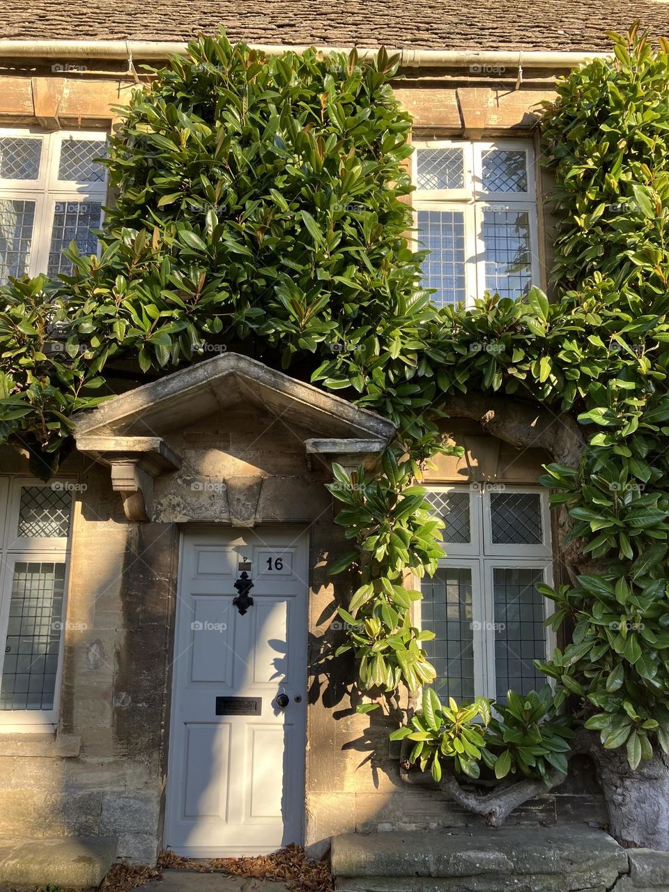 Old townhouse bathed in Winter sunshine 💚