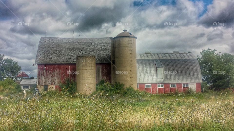 Red Barn in Summer