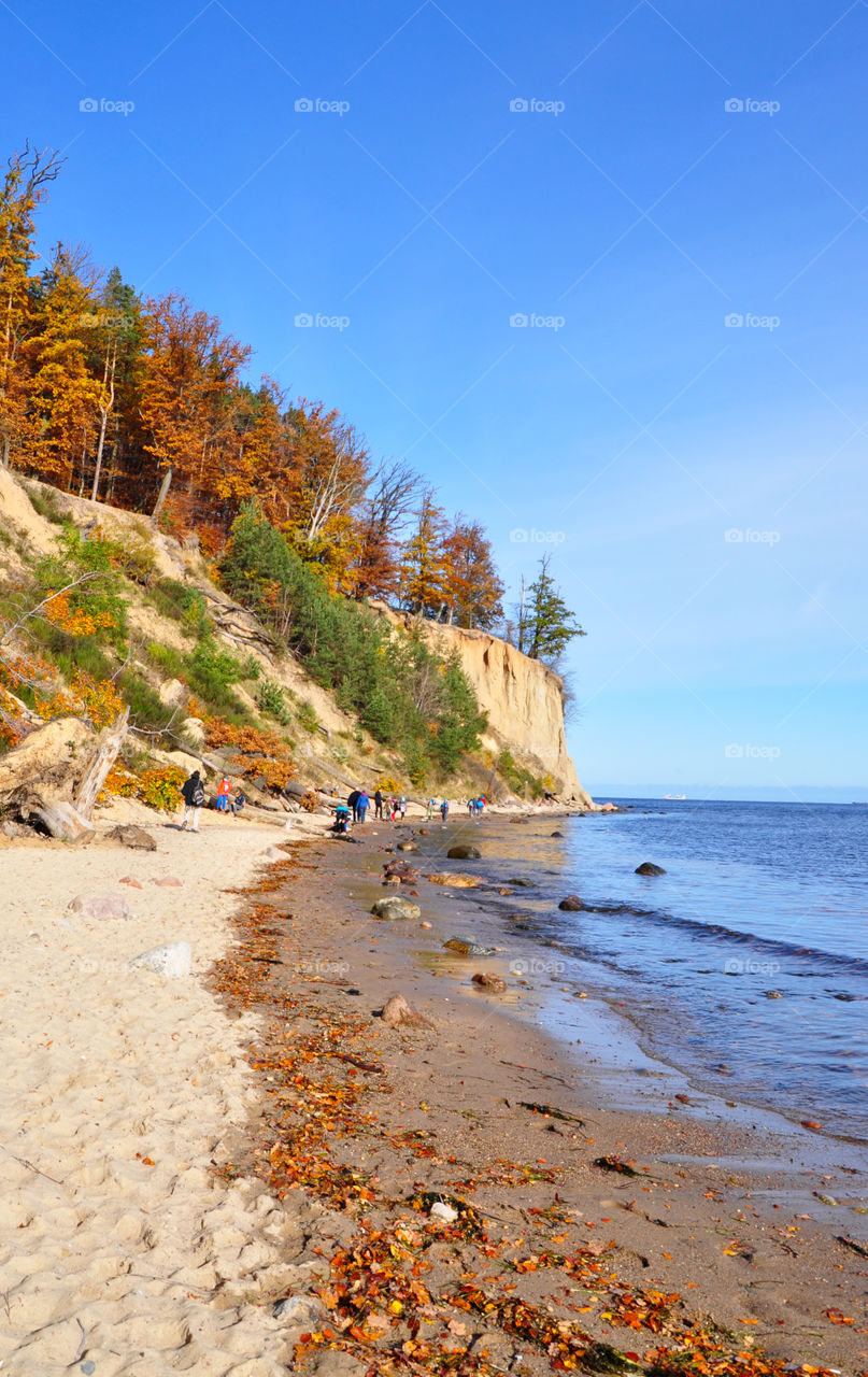 Autumn beach and cliff 